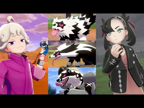 A New Team and New Rivals in Pokémon Sword and Pokémon Shield! ⚔️🛡️
